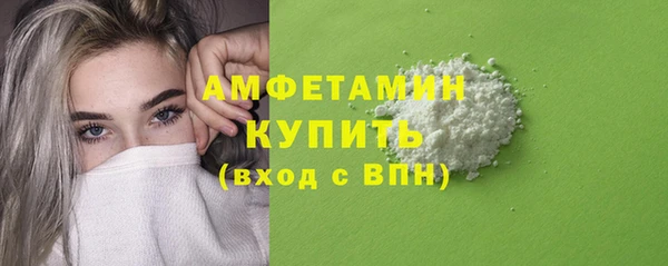 шишки Белокуриха