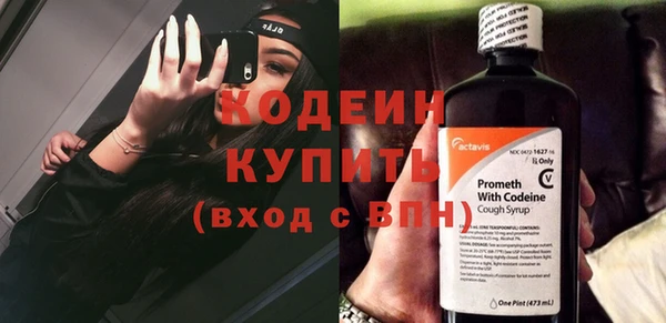 шишки Богородицк