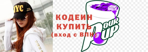 шишки Богородицк