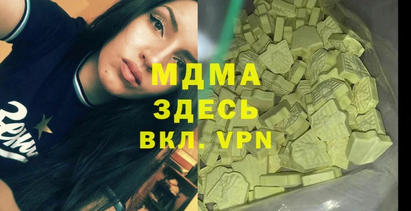 шишки Белокуриха